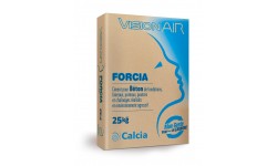 VisionAIR Forcia