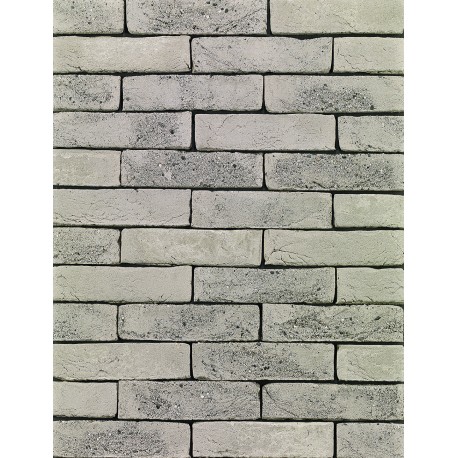 Brique ECO-BRICK Pleine WF Agora gris agate