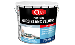 MURS INTERIEURS VELOURS BLANC (12L)