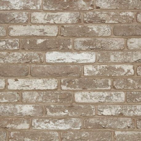 Brique ECO-BRICK Pleine Avolto