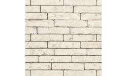 Brique ECO-BRICK Pleine Imperium