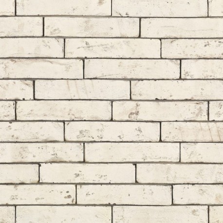 Brique ECO-BRICK Pleine Imperium