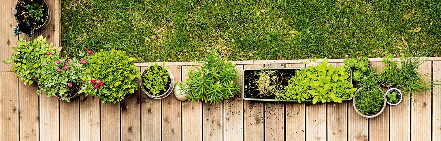 Environnement-Portail et Clôture-Éléments de Piliers - Chapeaux